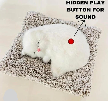 🐱✨ Sleeping Kitty Plush Toy