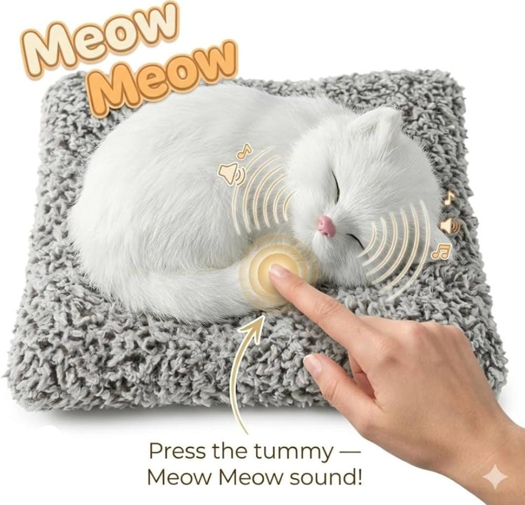 🐱✨ Sleeping Kitty Plush Toy