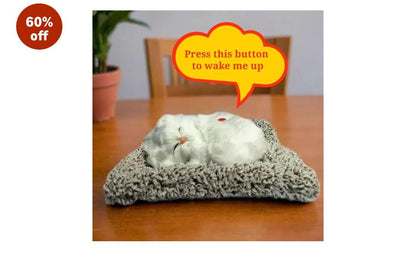 🐱✨ Sleeping Kitty Plush Toy